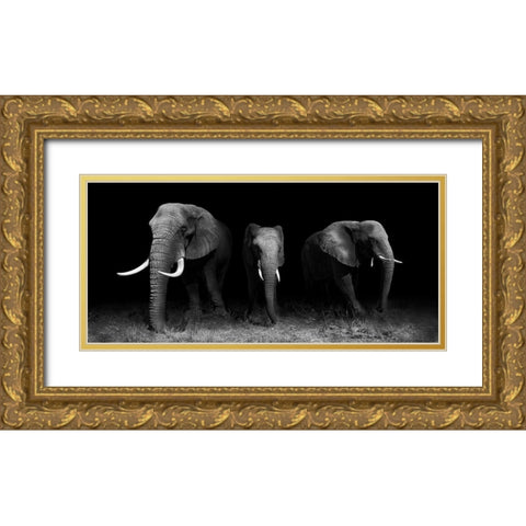 Out Of The Darkness Gold Ornate Wood Framed Art Print with Double Matting by Wildphotoart
