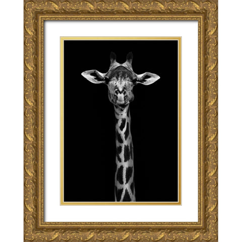 Giraffe Portrait Gold Ornate Wood Framed Art Print with Double Matting by WildPhotoArt