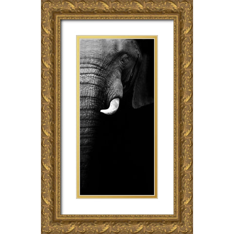 Elephant Portrait Gold Ornate Wood Framed Art Print with Double Matting by Wildphotoart