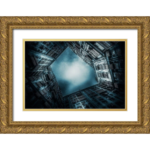 Cage Gold Ornate Wood Framed Art Print with Double Matting by Baidongyun