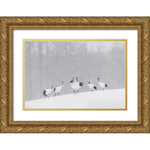 Japanese Cranes Gold Ornate Wood Framed Art Print with Double Matting by Marchegiani, Roberto