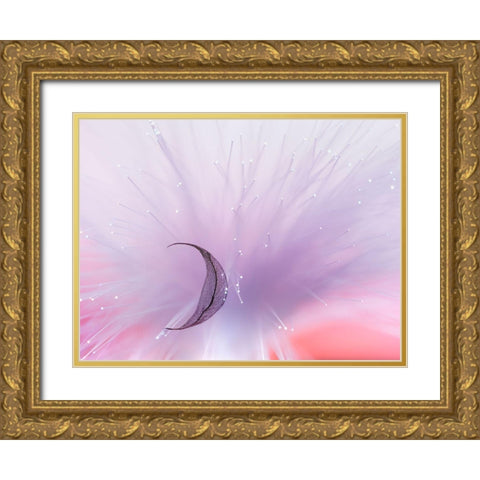 Untitled Gold Ornate Wood Framed Art Print with Double Matting by Selezenev, Konstantin