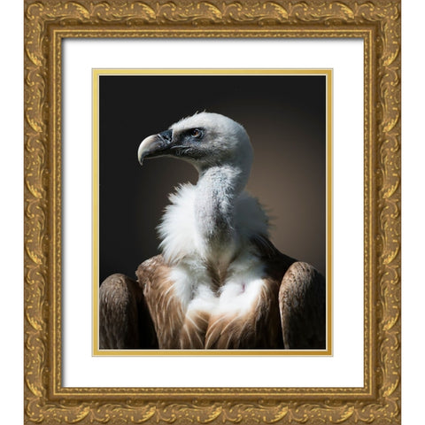 The look Gold Ornate Wood Framed Art Print with Double Matting by van Son, Greetje