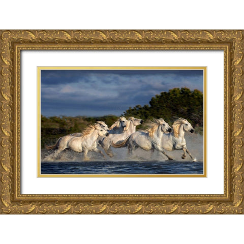 Horses Running Through The Marsh Gold Ornate Wood Framed Art Print with Double Matting by Ortega, Xavier