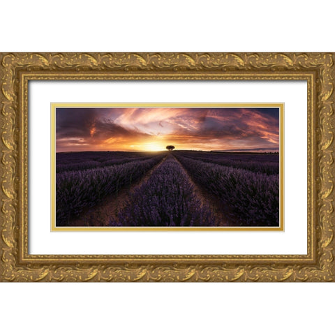 Lavender Sunset Gold Ornate Wood Framed Art Print with Double Matting by Ruiz Dueso, Jorge