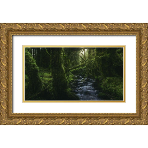 Hidden Wood Gold Ornate Wood Framed Art Print with Double Matting by De La, Javier
