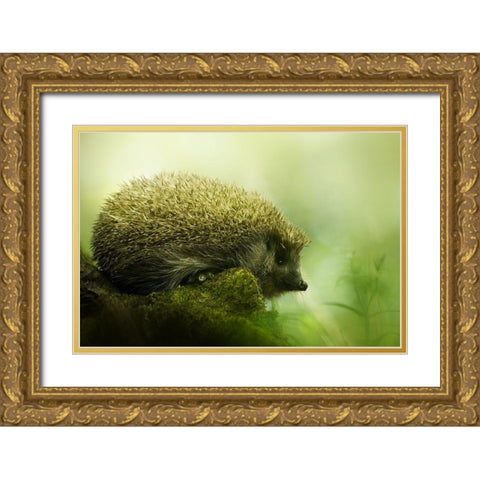 Hedgehog Gold Ornate Wood Framed Art Print with Double Matting by Potoma, Kristian