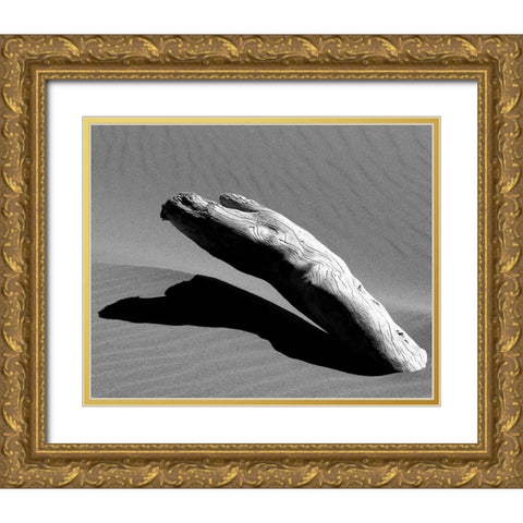 Ergo Gold Ornate Wood Framed Art Print with Double Matting by Abramovici, Miron