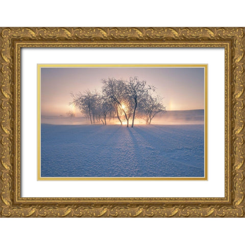 Swan Lake Gold Ornate Wood Framed Art Print with Double Matting by Z, Bingo