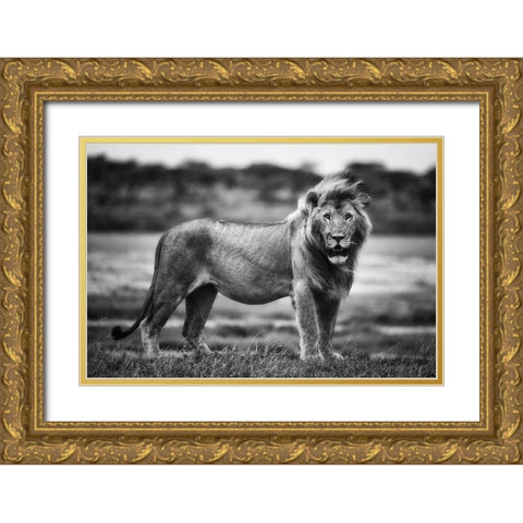 Royal Pose Gold Ornate Wood Framed Art Print with Double Matting by Alnaser, Mohammed
