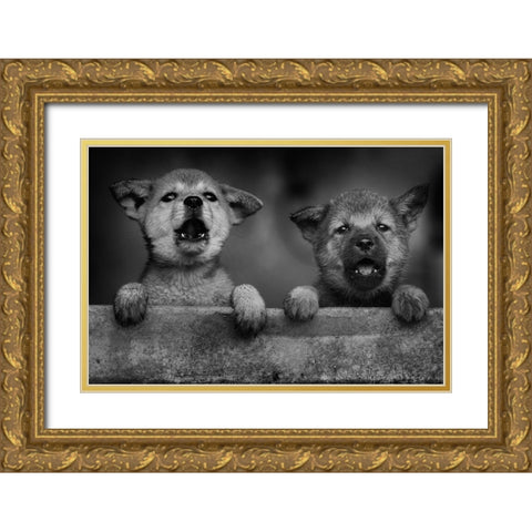 Aa Gold Ornate Wood Framed Art Print with Double Matting by Mp, Hendy