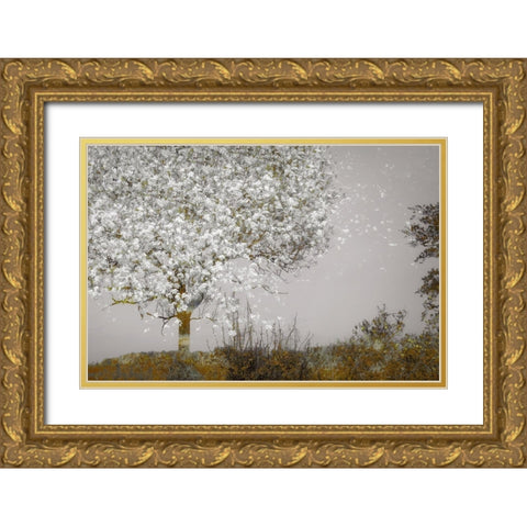 Fruit Tree Gold Ornate Wood Framed Art Print with Double Matting by Talen, Nel
