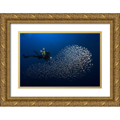 Alvin Shoal Gold Ornate Wood Framed Art Print with Double Matting by Gabriel, Barathieu