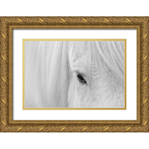 Whisper Of Iceland Gold Ornate Wood Framed Art Print with Double Matting by Fan, John