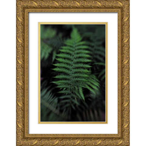 Soft Leaf Gold Ornate Wood Framed Art Print with Double Matting by Walsh, Claire