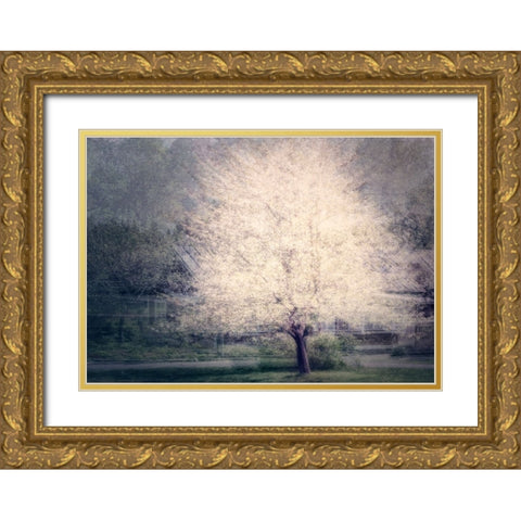 Apple Tree Gold Ornate Wood Framed Art Print with Double Matting by Holmstrom, Katarina