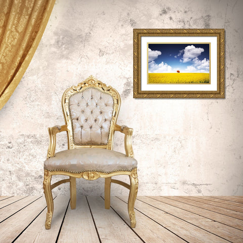 Canola Meadow Gold Ornate Wood Framed Art Print with Double Matting by Hamiti, Bess