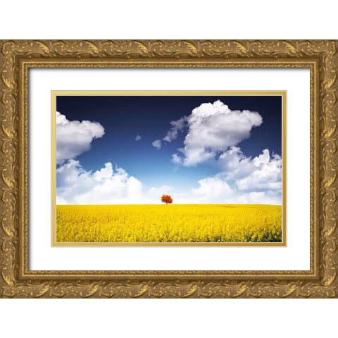 Canola Meadow Gold Ornate Wood Framed Art Print with Double Matting by Hamiti, Bess