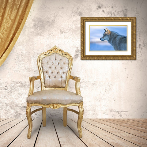 A Vigilant Wolf Gold Ornate Wood Framed Art Print with Double Matting by Z, Bingo