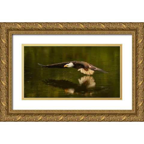 The Reflective Pond Gold Ornate Wood Framed Art Print with Double Matting by Breau, Susan