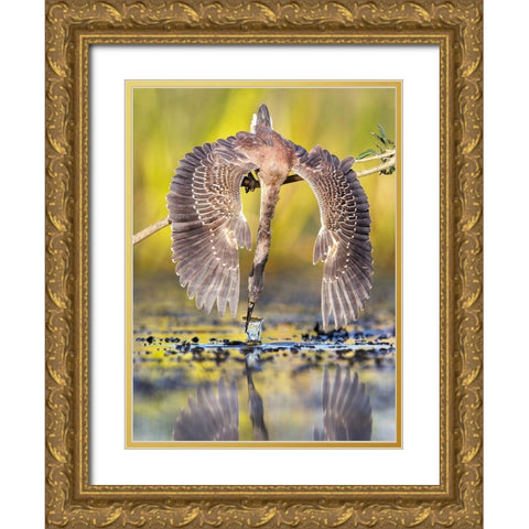 Azulada Pescando Gold Ornate Wood Framed Art Print with Double Matting by Ruggeri, Andres