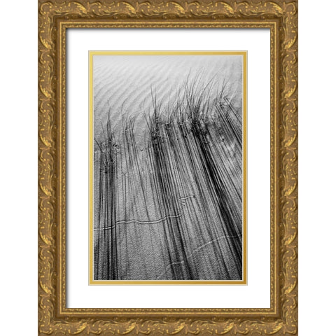 Dune # 7 Gold Ornate Wood Framed Art Print with Double Matting by Rousse, Pascal