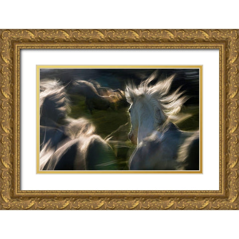 Esata Equina Gold Ornate Wood Framed Art Print with Double Matting by Malovrh, Milan