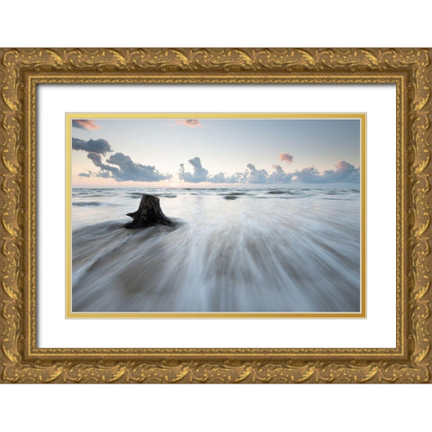 Untitled Gold Ornate Wood Framed Art Print with Double Matting by Lucidi, Riccardo