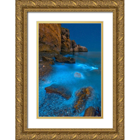 Bioluminescent Bay Gold Ornate Wood Framed Art Print with Double Matting by Zhu, Hua