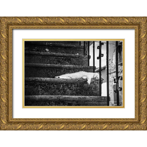 Slow Life Gold Ornate Wood Framed Art Print with Double Matting by Polo, Piera