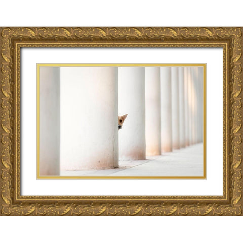 Bella - And The Pillars Of The Earth... Gold Ornate Wood Framed Art Print with Double Matting by Willers, Heike