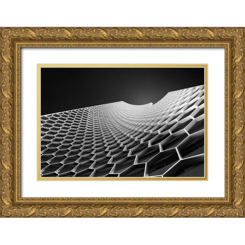 Beehives Gold Ornate Wood Framed Art Print with Double Matting by Thabet, Ahmed