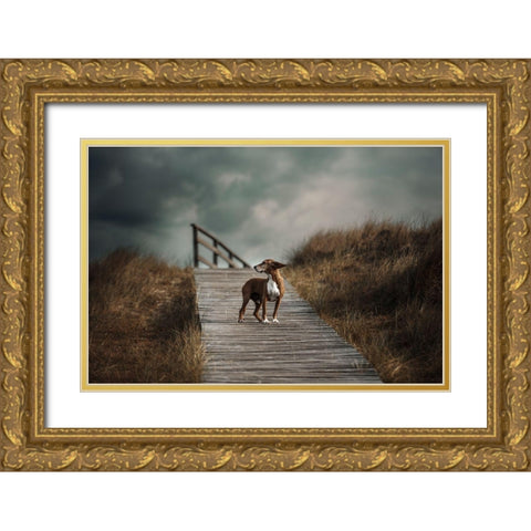 The Summer Wind Came Blowin In From Across The Seaa?B. (Frank Sinatra) Gold Ornate Wood Framed Art Print with Double Matting by Willers, Heike
