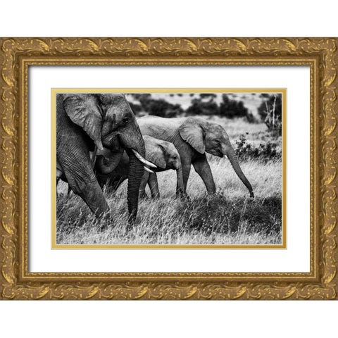 Elephant Family Gold Ornate Wood Framed Art Print with Double Matting by Vidak, Vedran