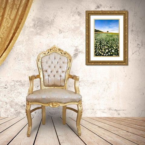 Daisyfield In Sweden Gold Ornate Wood Framed Art Print with Double Matting by Lindsten, Christian