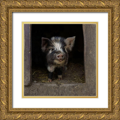 Please-Come In! Gold Ornate Wood Framed Art Print with Double Matting by Van Den, Gert