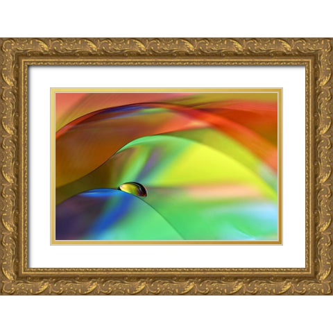 Color Cascade Gold Ornate Wood Framed Art Print with Double Matting by Westum, Heidi