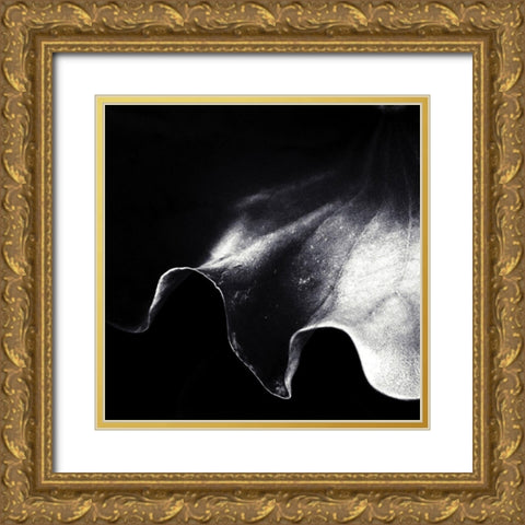 A Kiss Of Light Gold Ornate Wood Framed Art Print with Double Matting by Flour, Piet