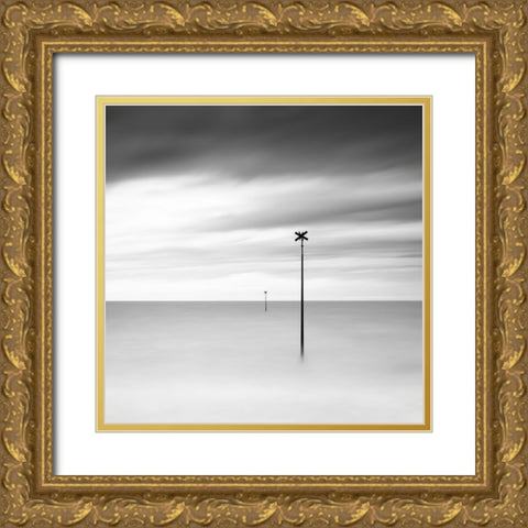 X X Gold Ornate Wood Framed Art Print with Double Matting by Staelens, Christophe