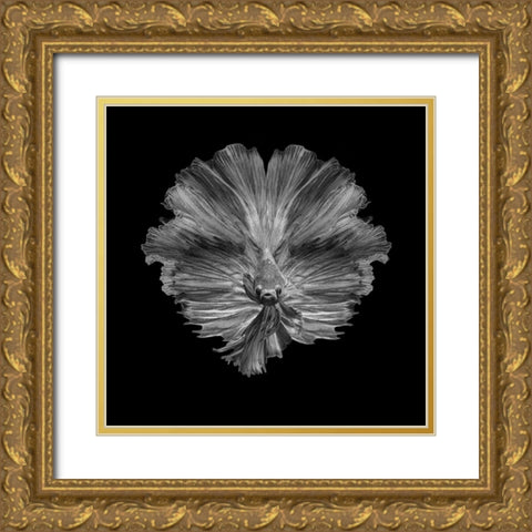 The Flower Of Tail Gold Ornate Wood Framed Art Print with Double Matting by Halil, Andi