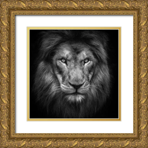 Face Gold Ornate Wood Framed Art Print with Double Matting by Itoyama, Eiji