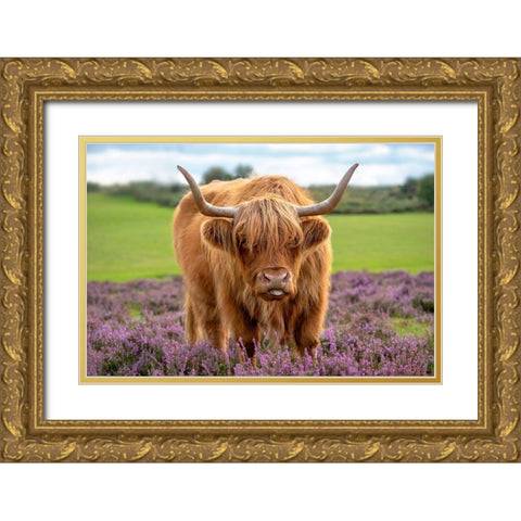 Highland Gold Ornate Wood Framed Art Print with Double Matting by Parker, Jacky