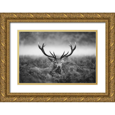 Vvv Gold Ornate Wood Framed Art Print with Double Matting by Fabrowski, Robert