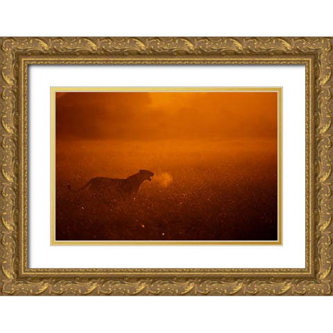 Puff Gold Ornate Wood Framed Art Print with Double Matting by Alnaser, Mohammed