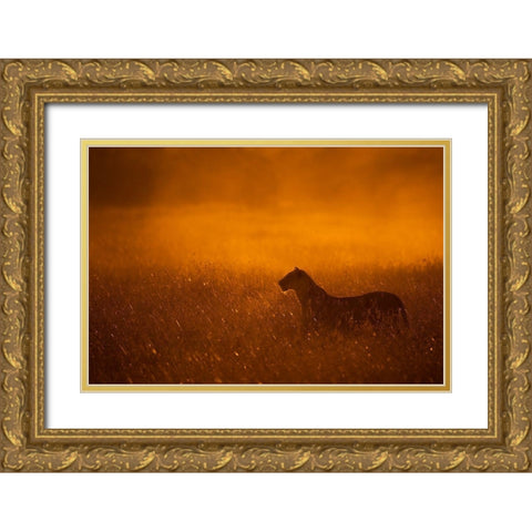 Gold Dust Gold Ornate Wood Framed Art Print with Double Matting by Alnaser, Mohammed