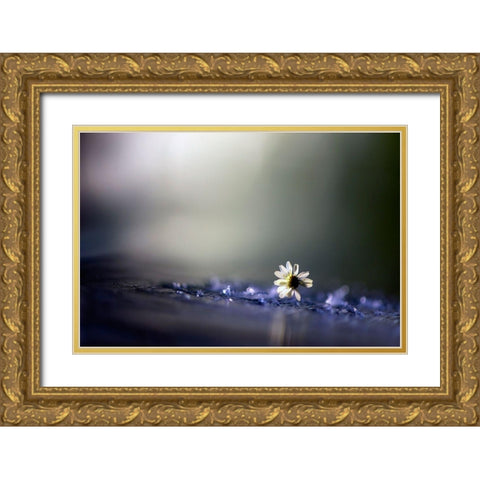 Twilight Gold Ornate Wood Framed Art Print with Double Matting by Zahirimehr, Maryam