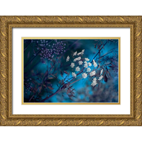 Queen AnneS Lace Gold Ornate Wood Framed Art Print with Double Matting by Parker, Jacky