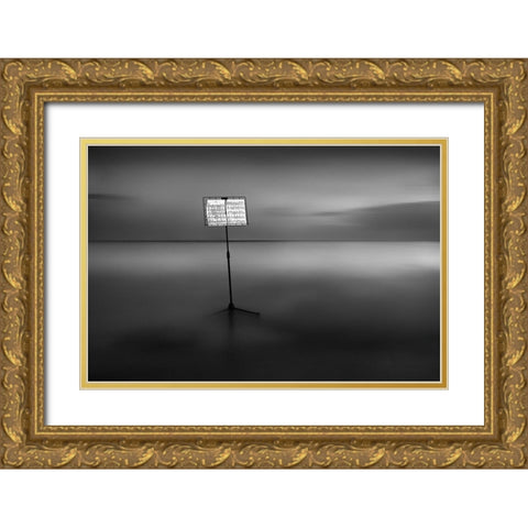 Water Music (I? I?Iii?I?Iandsup1;Ioir I?I?Iandfrac12; Iyiaini?I?Iandfrac12;) Gold Ornate Wood Framed Art Print with Double Matting by Kaimaki, Maria