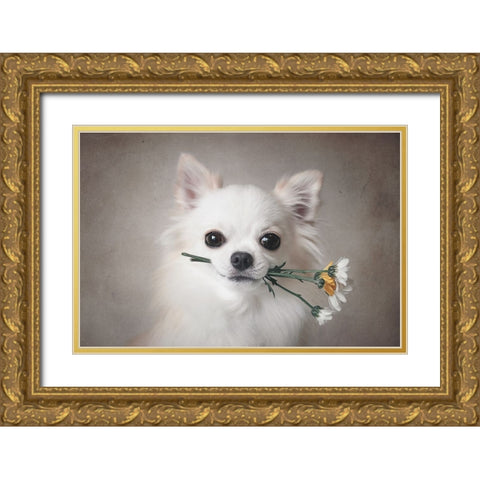 Chihuahua With Flowers Gold Ornate Wood Framed Art Print with Double Matting by Lienjp