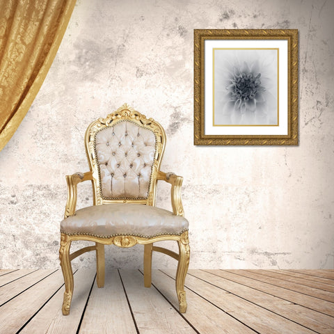 Dahlia Gold Ornate Wood Framed Art Print with Double Matting by Gronkjar, Lotte